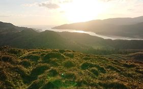 Abergwynant Farm Glamping & Apartments