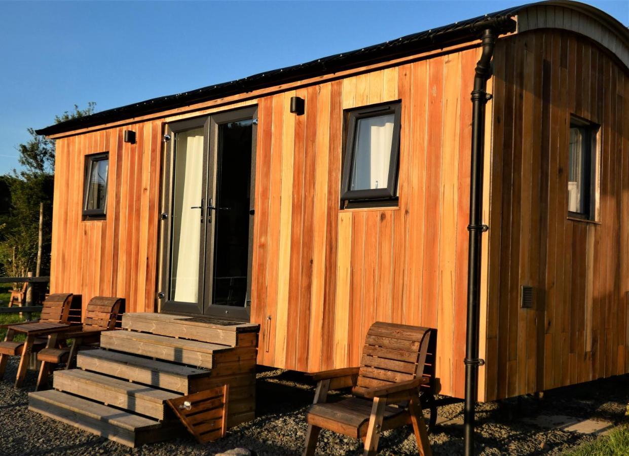 Abergwynant Farm Glamping & Apartments Dolgellau Extérieur photo