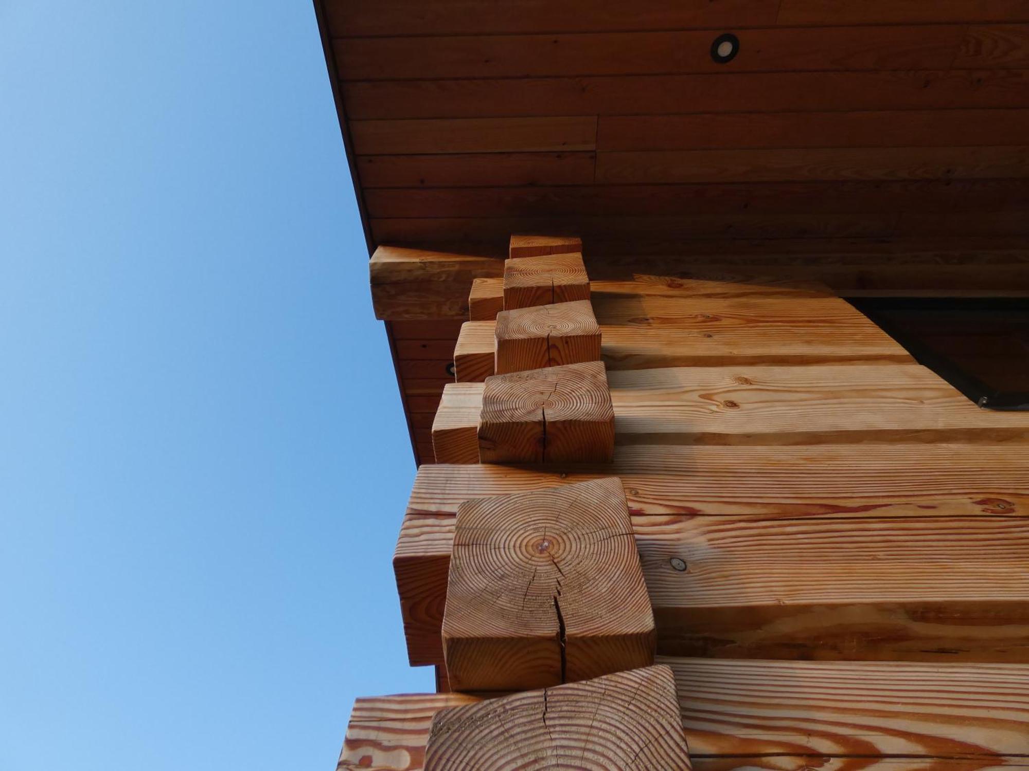 Abergwynant Farm Glamping & Apartments Dolgellau Extérieur photo